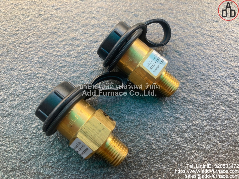 Fisher H110-250 Relief Valve(9)